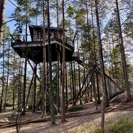 Tretopphytter Pa Grensen - Elghytta Med Robat Og Gjeddefiske Halden Exteriör bild