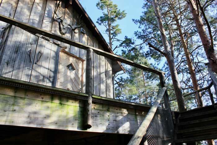 Tretopphytter Pa Grensen - Elghytta Med Robat Og Gjeddefiske Halden Exteriör bild